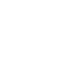 icon services 22