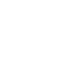icon services 33